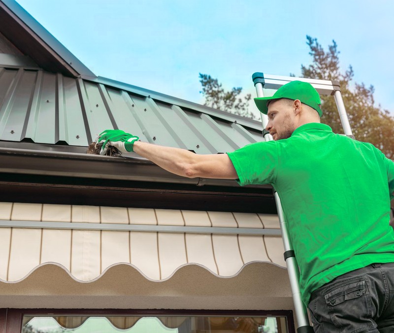Gutter Cleaning Services