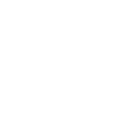 Short Term Rentals