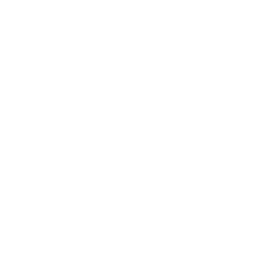 Customer Satisfaction
