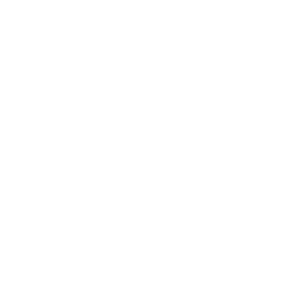 Experienced Team