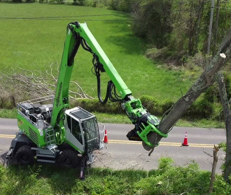 Tree Services