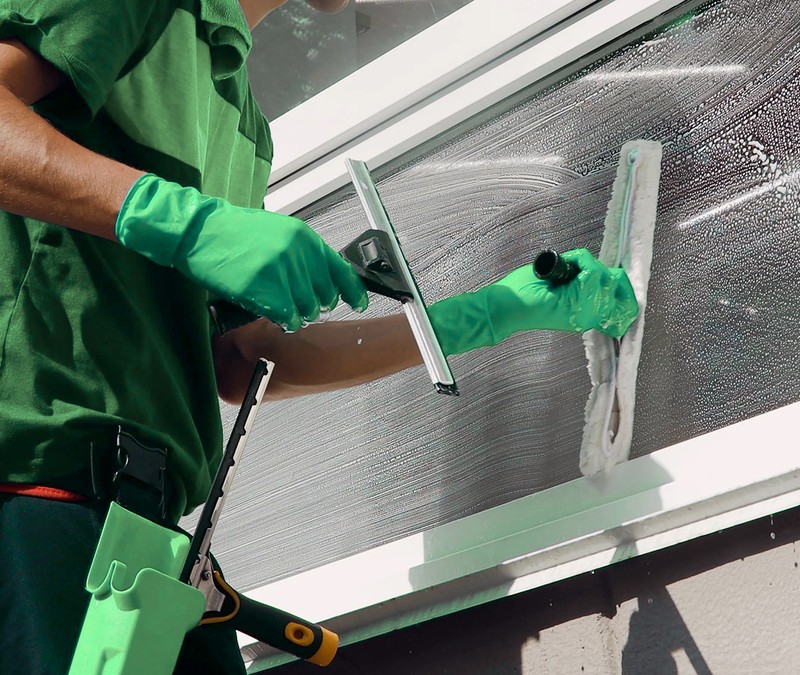 Window Washing Services